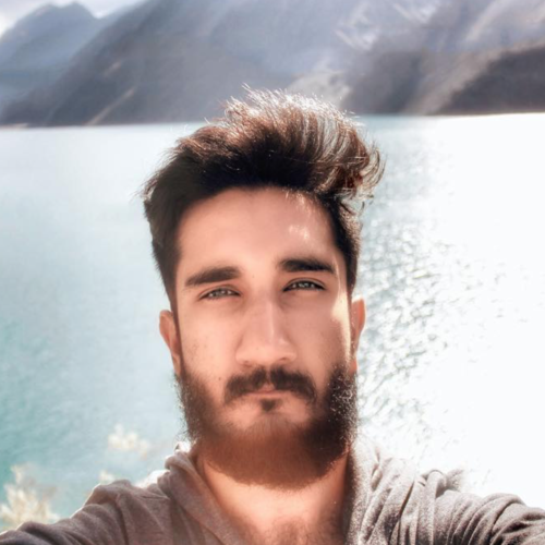 Arsalan M